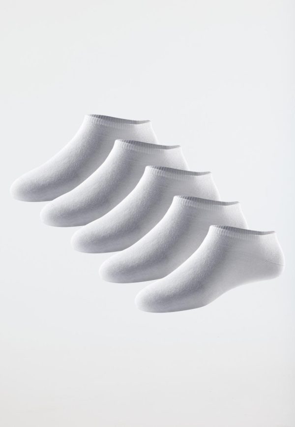 Guestwy.shop812fc93b31 1